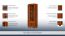 Vitrine Dahra 10, couleur : brun chêne - 197 x 62 x 62 cm (h x l x p)