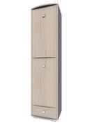 Armoire Rabaul 25 | Sonoma chêne | 200 x 50 x 43 cm | Design moderne et espace optimisé