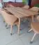 Table de salle à manger Wooden Nature 203 hêtre massif huilé naturel - Dimensions : 160 x 90 cm (l x p)