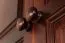 Armoire en pin massif couleur noyer Junco 06 - Dimensions : 195 x 135 x 59 cm (H x L x P)