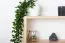 Étagère murale en pin massif naturel Junco 292 | 80 x 25 x 20 cm | Design moderne