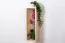 Étagère murale en pin massif naturel Junco 292 | 80 x 25 x 20 cm | Design moderne