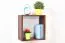Étagère murale en pin massif couleur noyer Junco 291A | 40 x 40 x 20 cm | Design moderne et robuste