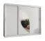 Armoire penderie Jorasses 22 | Blanc | 2 portes miroir coulissantes | 2,5 m largeur | 10 compartiments