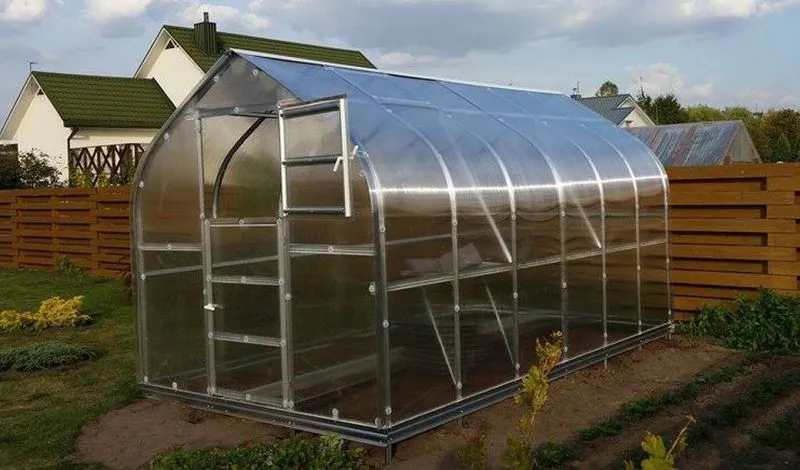 Serre 10 HKP 4 mm, surface au sol 25 m²- Dimensions : 1000 x 250 cm (l x L)