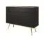 Petite commode à quatre compartiments Horsham 66, Couleur : Noir, deux portes, Fonction push-to-open, protection des bords ABS, deux tiroirs, Pieds : Or