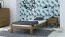 Lit simple / lit d'appoint Erts 05, Pin massif, Couleur : Chêne - Surface de couchage : 90 x 200 cm (l x L)
