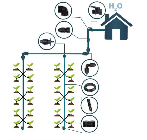Système d'irrigation pour jusqu'à 40 plantes individuelles, alimentation en eau domestique