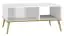 Table basse Roanoke 08, Couleur : Blanc / Blanc brillant - Dimensions : 90 x 60 x 42 cm (l x p x h)