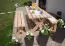 Table de jardin rustique Lisianthus, en bois massif, mélèze naturel, 75 x 178 x 76 cm, table en bois stable, durable, robuste