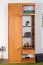 Armoire d’entrée Paseh 04 | Finition érable | 220 x 100 x 40 cm | Design moderne et rangements pratiques