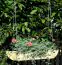 jardinière suspendue Fruticosus - Dimensions : 90 x 18 x 15 cm (l x p x h)