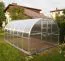 Serre 19 HKP 4 mm, surface 24 m²- Dimensions : 800 x 300 cm (L x l)