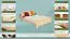 Lit enfant ou adolescent en bois massif de hêtre naturel 108 | 140 x 200 cm | Inclus sommier | Design moderne