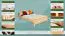 Lit pour enfant 140 x 200 cm | Bois massif: Hêtre | Laqué Naturel Abbildung